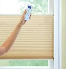 MOTORIZATION
